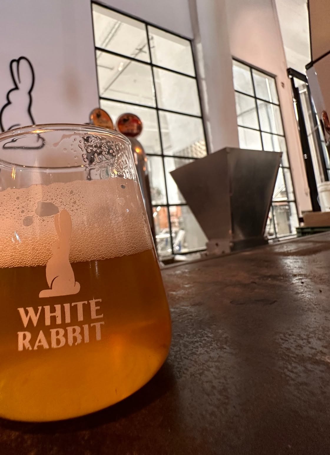 whiterabbit (4)
