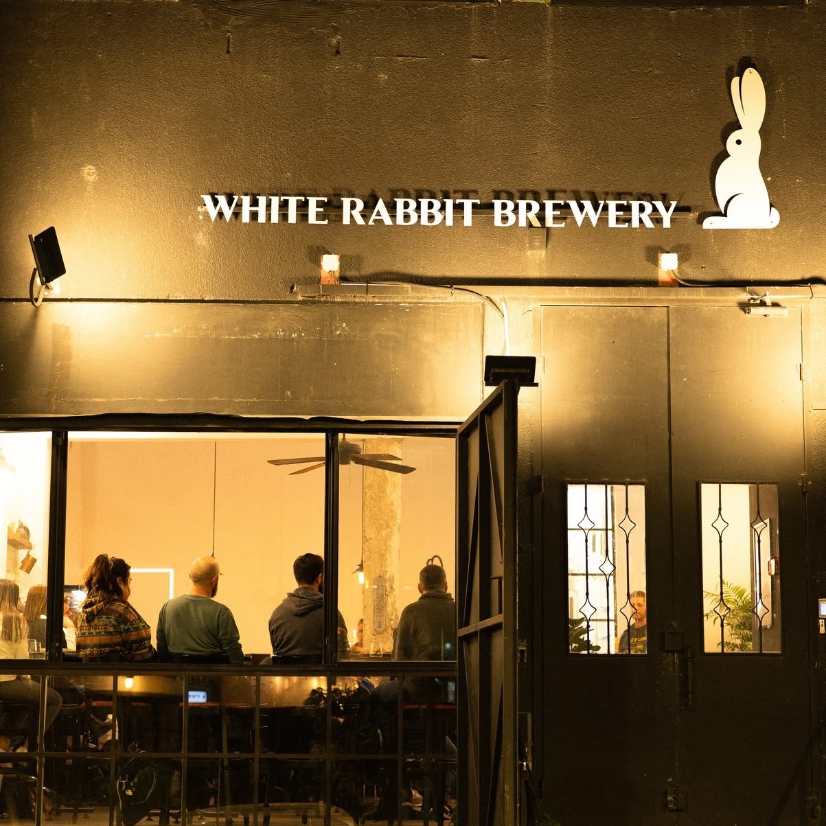 whiterabbit (5)