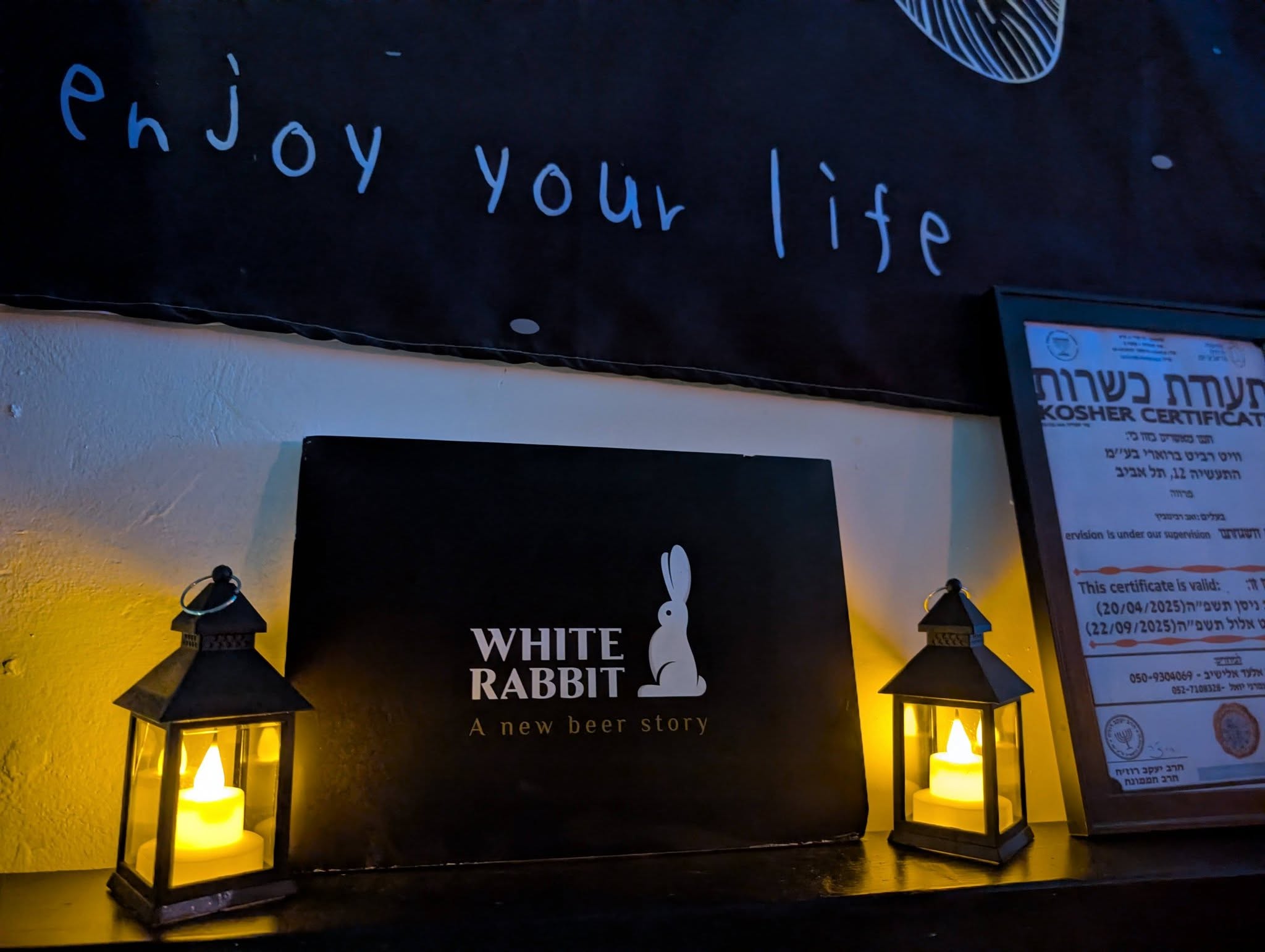 whiterabbit (8)